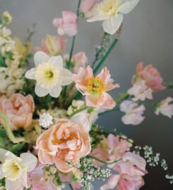 Enfants Sauvages : Fleuriste haut de gamme et ferme florale au Québec